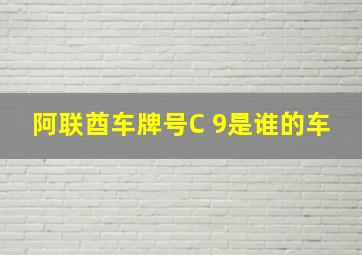 阿联酋车牌号C 9是谁的车